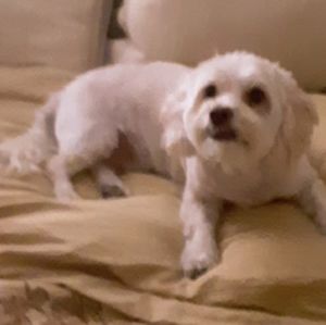 Meet your Posher, Stacy